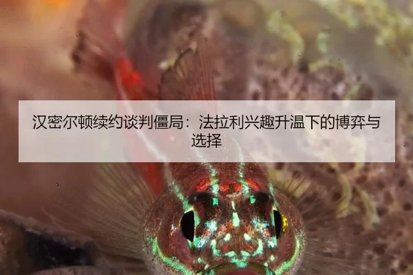 han-mi-er-dun-xu-yue-tan-pan-jiang-ju-fa-la-li-xing-qu-sheng-wen-xia-de-bo-yi-yu-xuan-ze-2-402.jpg